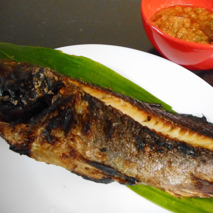 黒ソイの塩焼き おろしポン酢だれ レシピ 作り方 By Mococo05 楽天レシピ 黒ソイの塩焼き おろしポン酢だれ レシピ 作り方 By Mococo05 楽天レシピ